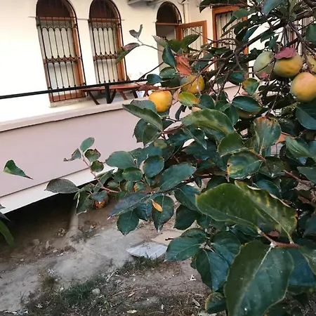 Apartman Daire Alanya